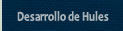 DESARROLLO DE HULES